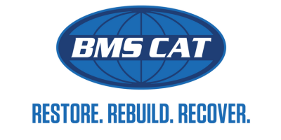 BMS cat